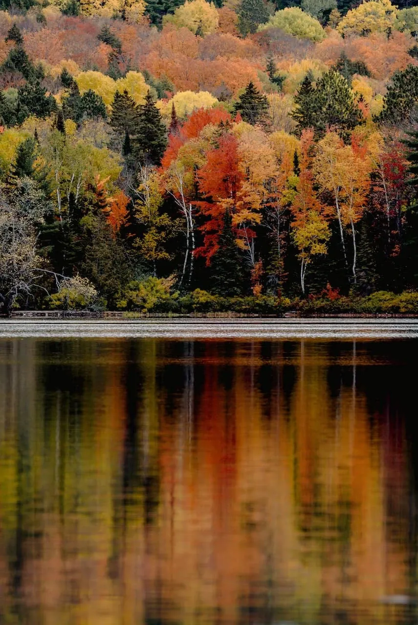 Fall color reflecting on still water along a forested shoreline