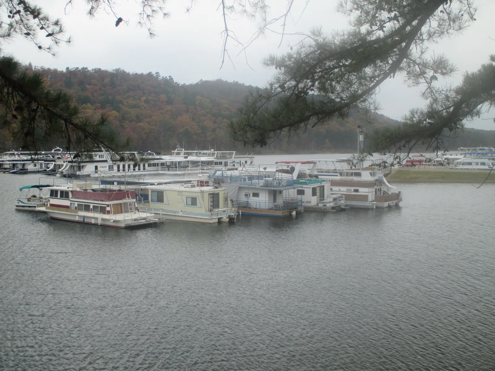 Houseboats gathered on Broken Bow Lake