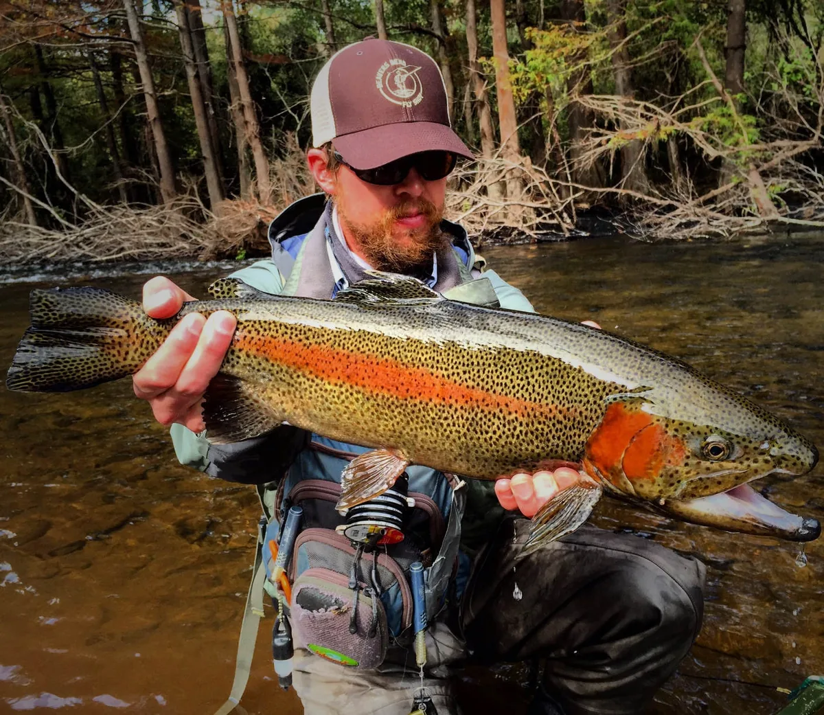 Angler holding a trophy rainbow trout from the Lower Mountain Fork River