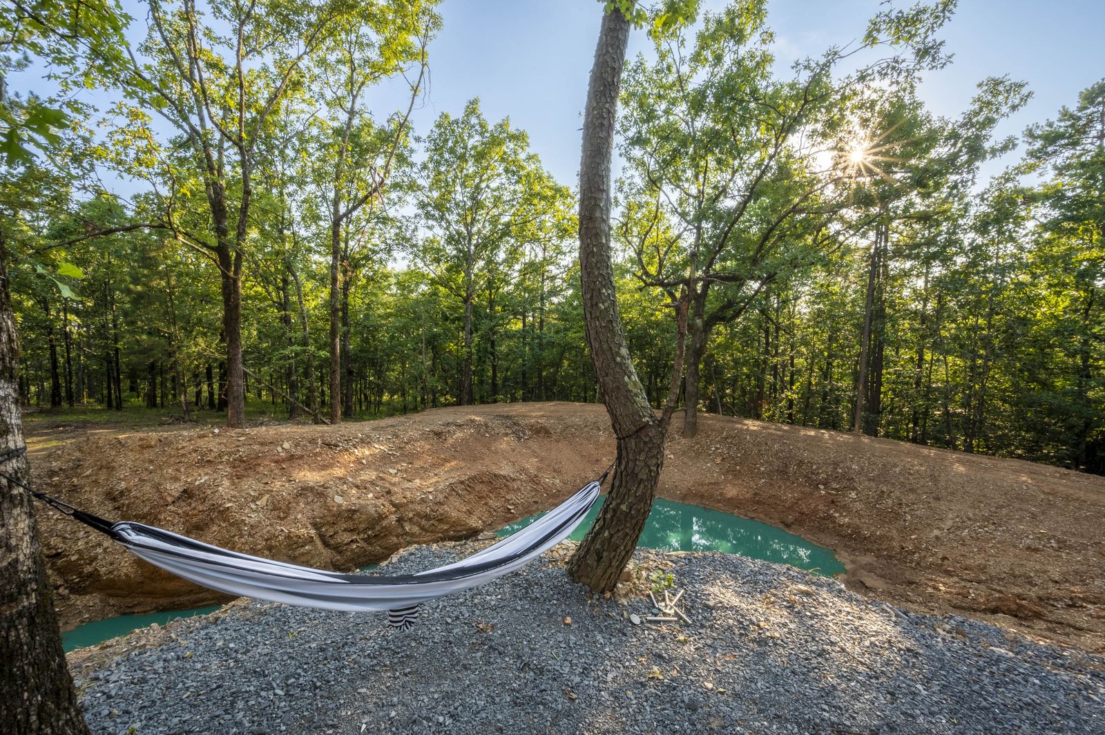 Hammock strung between trees in the forest at The Aroha