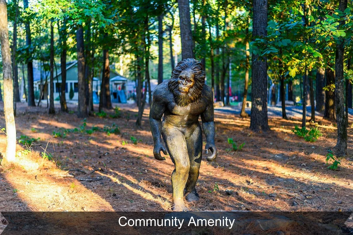 Three Creeks Reserve community pool across the street from The Black-Beary — photo 11