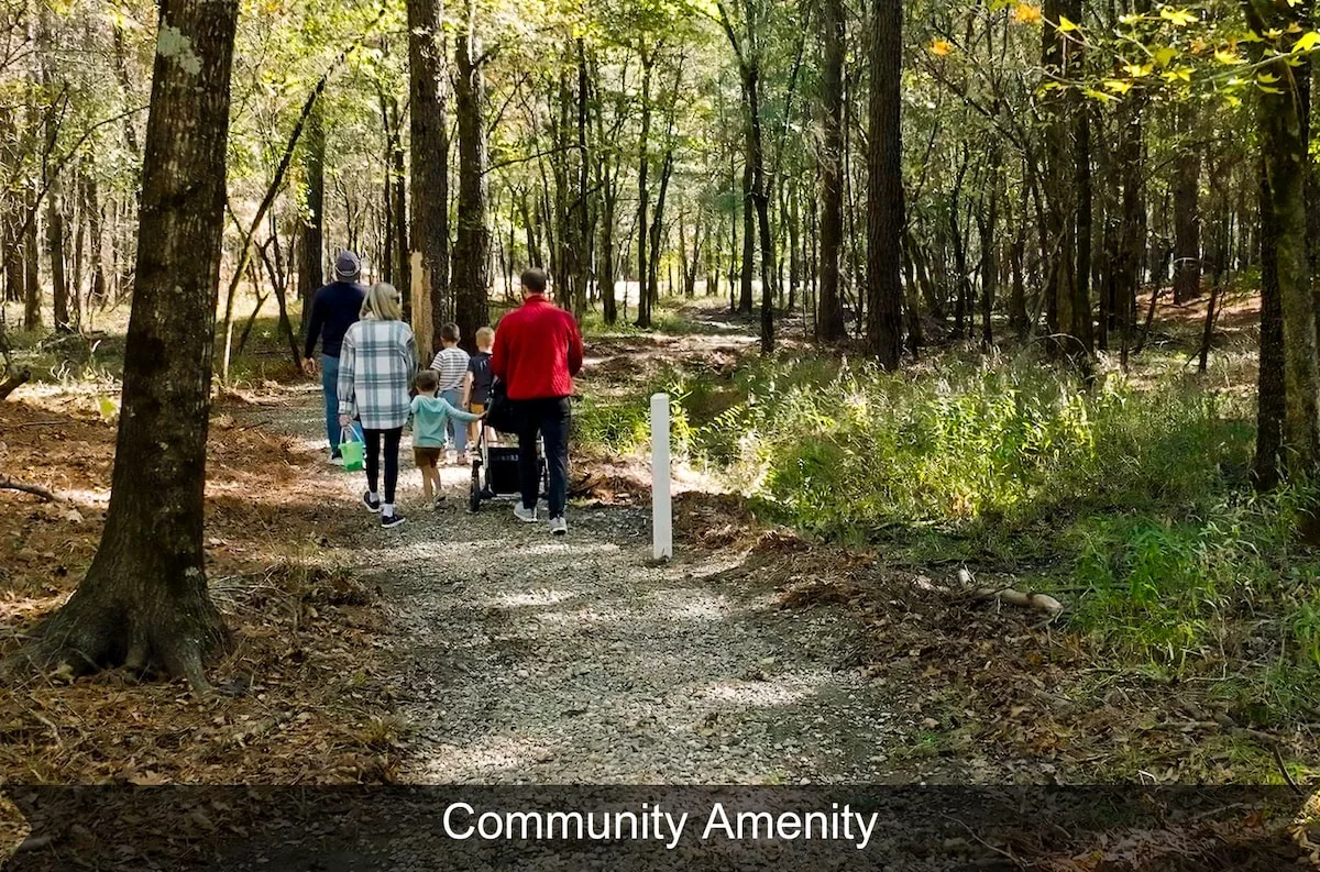 Three Creeks Reserve community pool across the street from The Black-Beary — photo 14